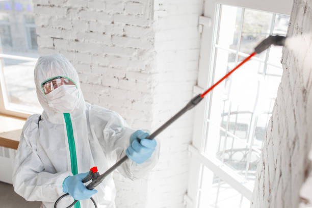 Best Mold Damage Restoration  in USA